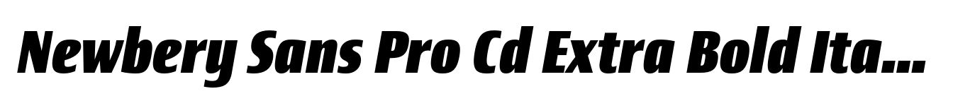 Newbery Sans Pro Cd Extra Bold Italic
